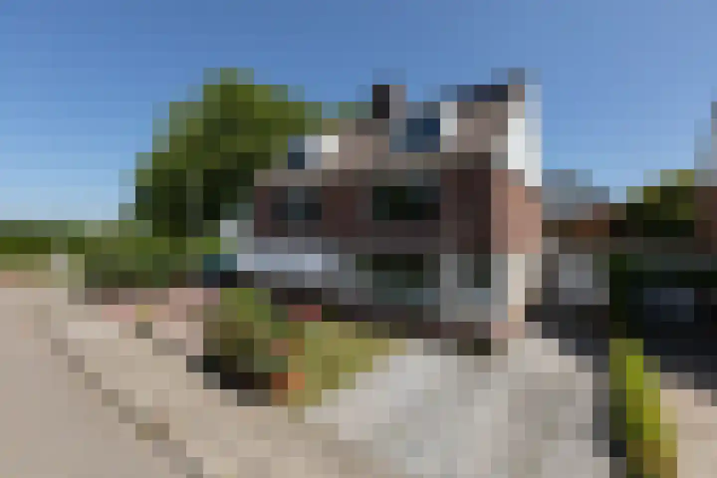 Kaar 3 in Sneek