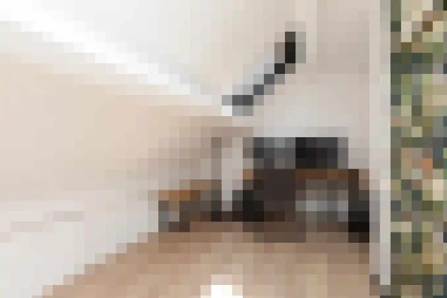 Kaar 3 Sneek thumbnail 25