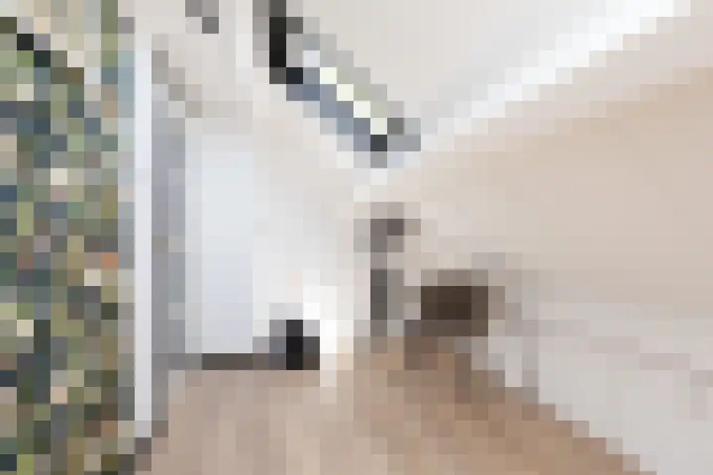 Kaar 3 Sneek thumbnail 26