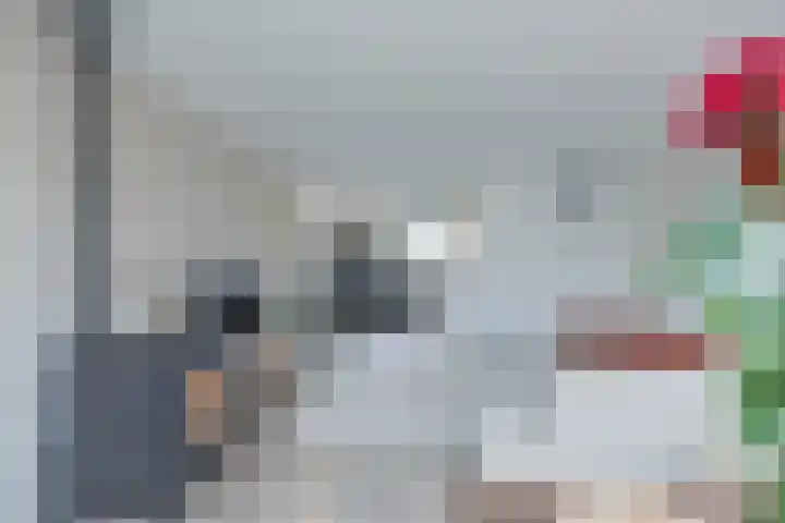 Kaar 33 Hoogwoud thumbnail 10
