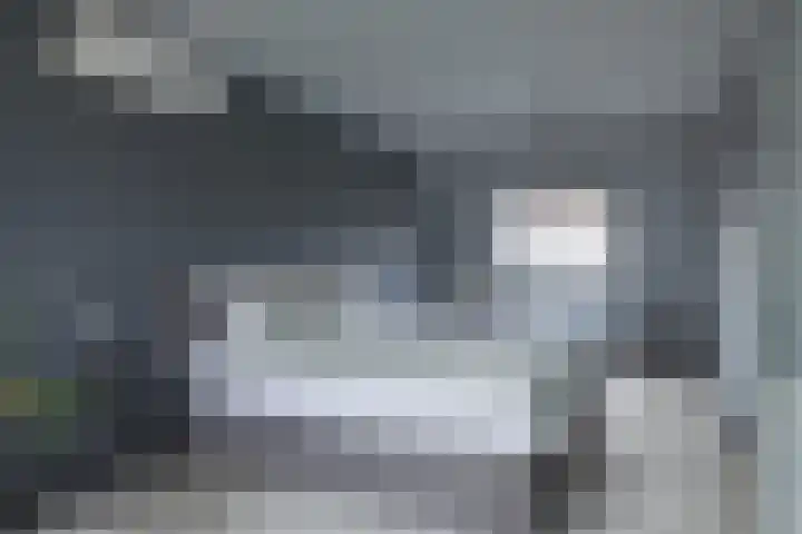 Kaar 33 Hoogwoud thumbnail 16