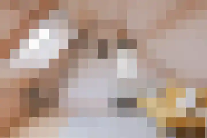Kaar 33 Hoogwoud thumbnail 19