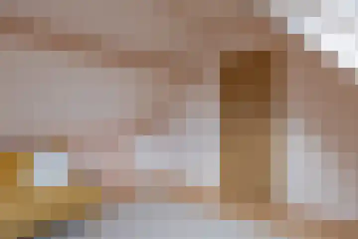Kaar 33 Hoogwoud thumbnail 20