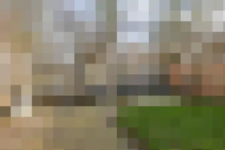 Kaar 33 Hoogwoud thumbnail 23