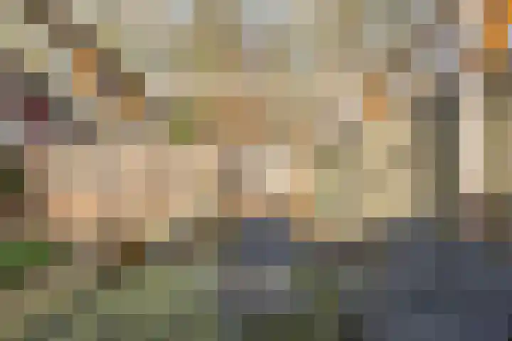 Kaar 33 Hoogwoud thumbnail 24