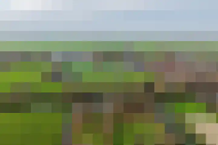 Kaar 33 Hoogwoud thumbnail 25