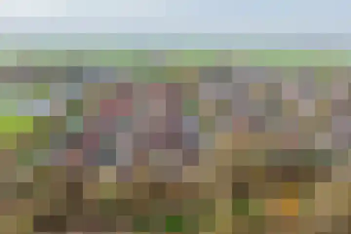 Kaar 33 Hoogwoud thumbnail 26