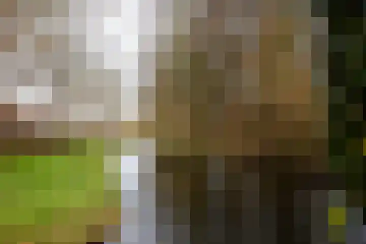Kaar 33 Hoogwoud thumbnail 27
