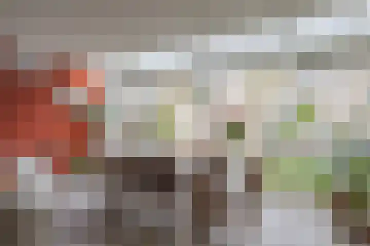 Kaar 33 Hoogwoud thumbnail 5