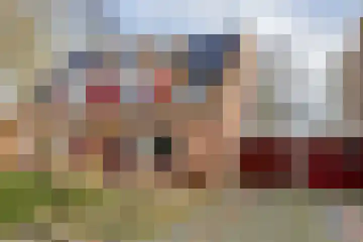 Kaar 33 Hoogwoud thumbnail 7