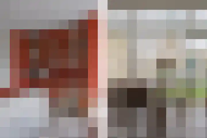 Kaar 33 Hoogwoud thumbnail 8