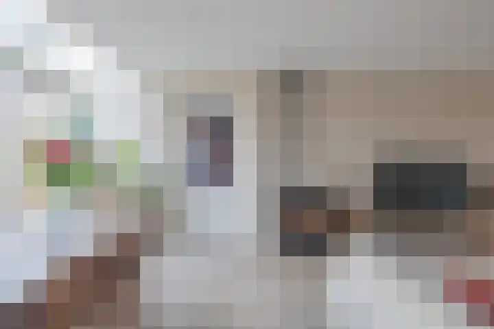 Kaar 33 Hoogwoud thumbnail 9