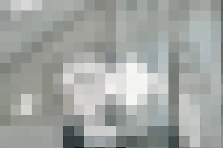 Kaar 42 Hoogwoud thumbnail 41