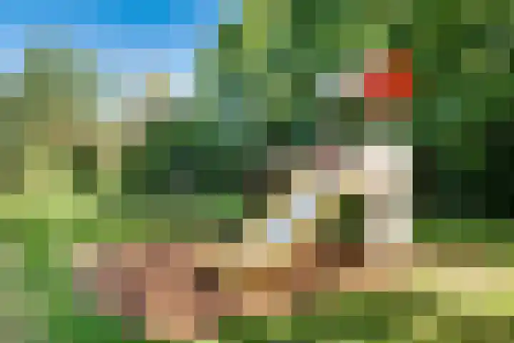 Kaar 42 Hoogwoud thumbnail 61