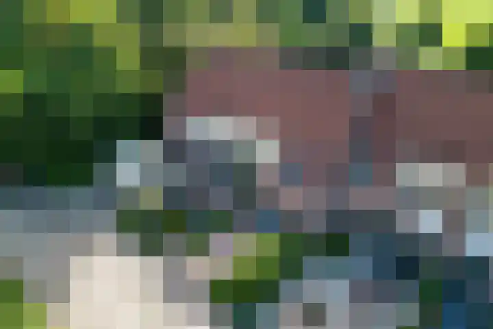 Kaar 42 Hoogwoud thumbnail 68