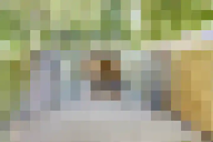 Kaar 56 Hoogvliet Rotterdam thumbnail 7