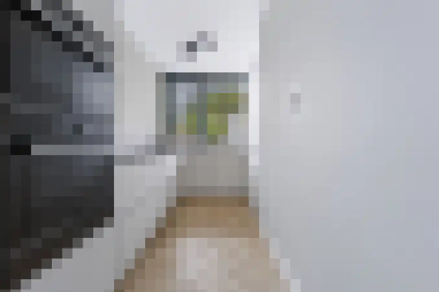 Kaar 7 Hoogvliet Rotterdam thumbnail 16