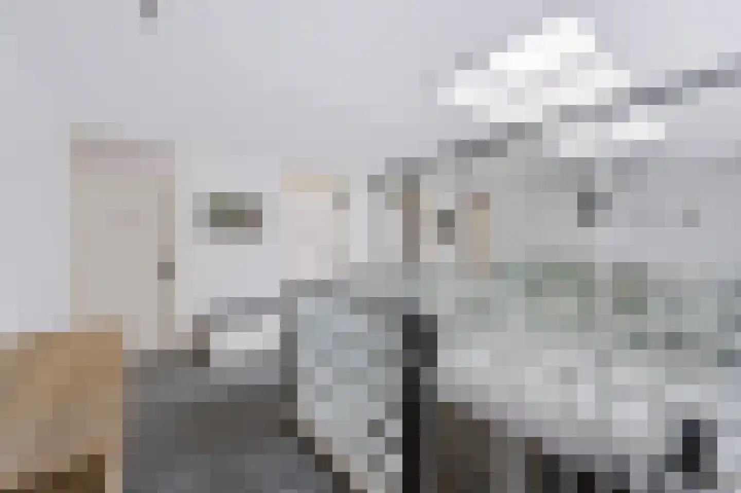 Kaar 7 Hoogvliet Rotterdam thumbnail 19
