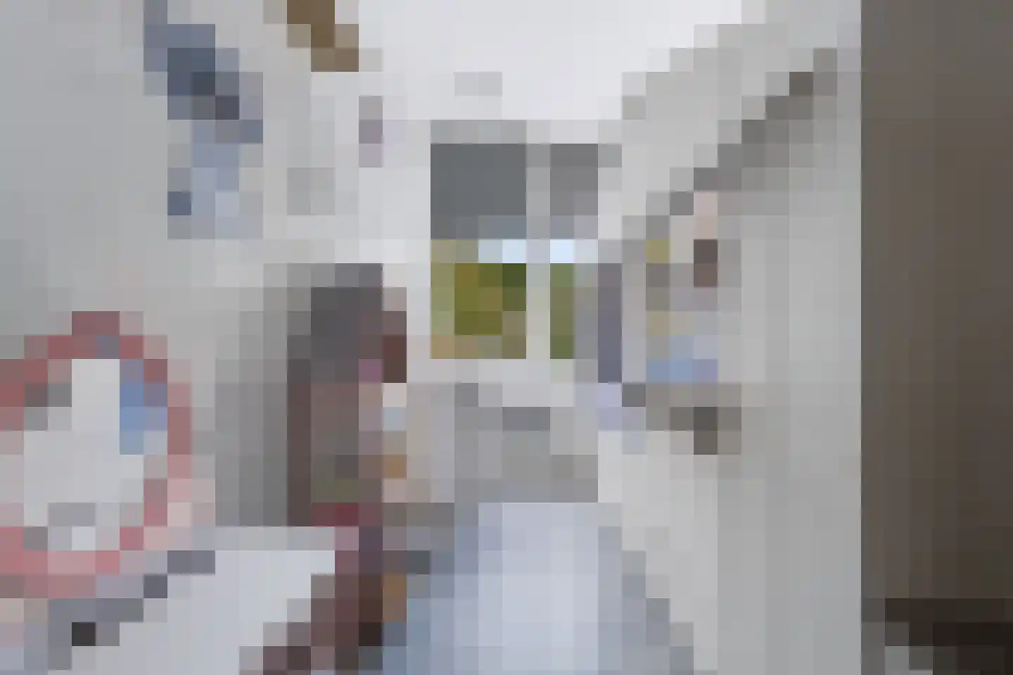 Kaar 7 Hoogvliet Rotterdam thumbnail 24