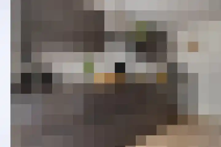 Kaar 8 Riel foto 3