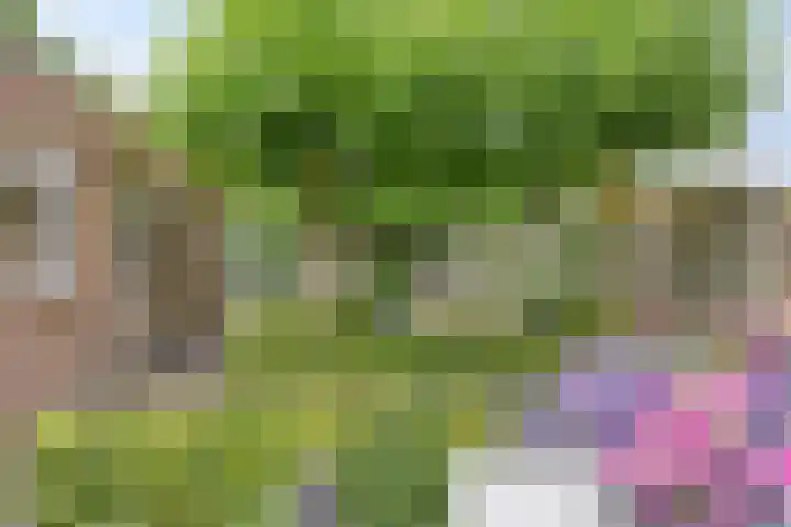 Kaar 8 Riel thumbnail 46