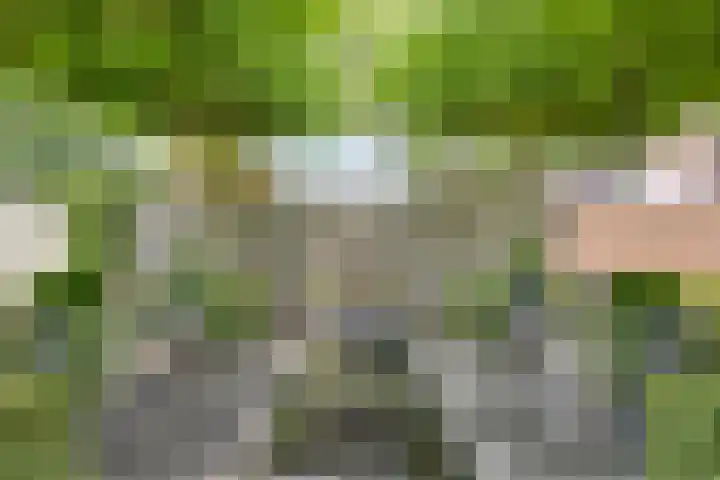Kaar 8 Riel thumbnail 47