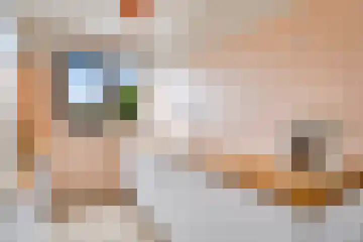 Kaarboom 10 Nunspeet thumbnail 15