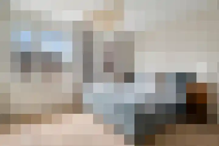 Kaarboom 10 Nunspeet thumbnail 20