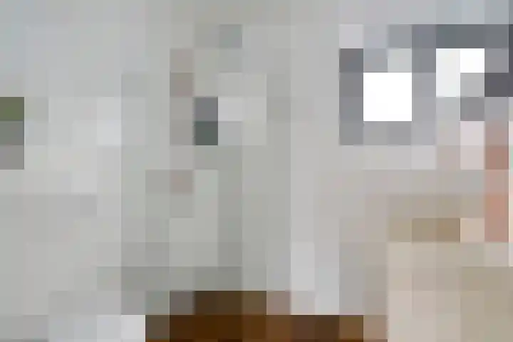 Kaarboom 10 Nunspeet thumbnail 22
