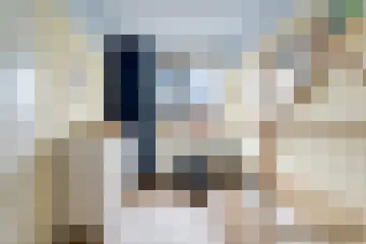 Kaarboom 10 Nunspeet thumbnail 25