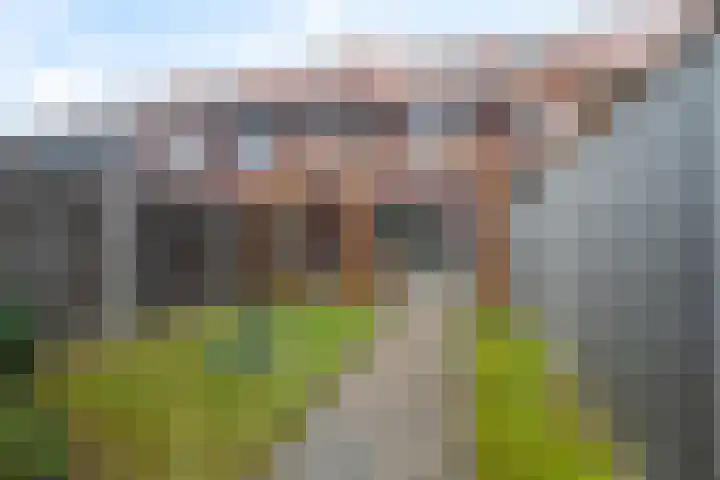 Kaarboom 10 Nunspeet thumbnail 30