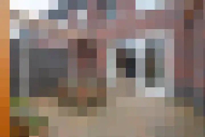 Kaarboom 10 Nunspeet thumbnail 32