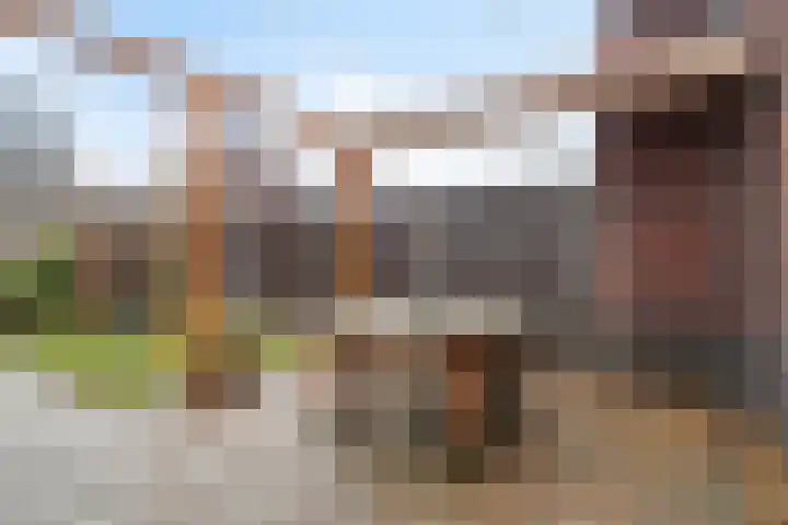 Kaarboom 10 Nunspeet thumbnail 33