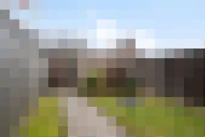Kaarboom 10 Nunspeet thumbnail 34