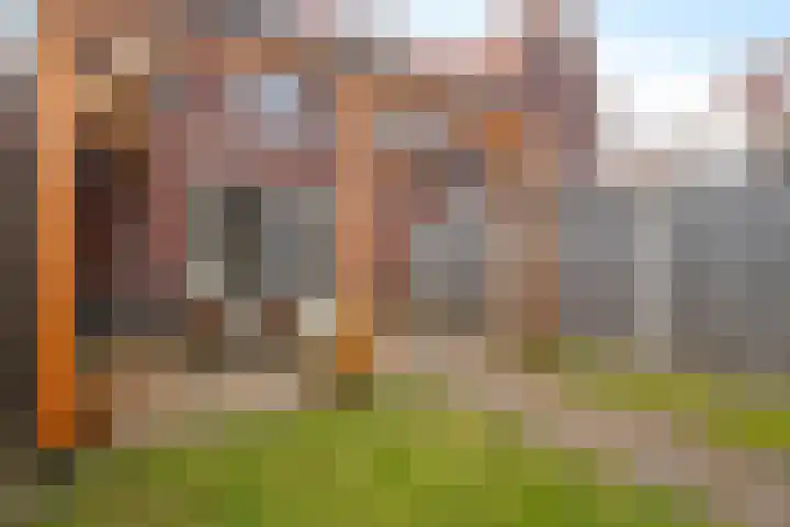 Kaarboom 10 Nunspeet thumbnail 35