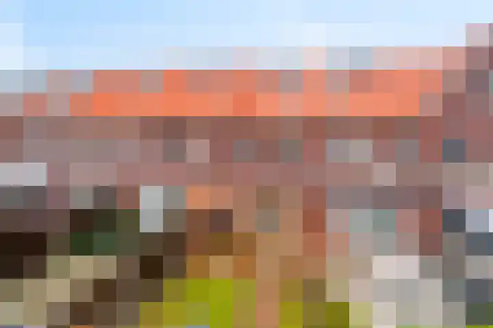 Kaarboom 10 Nunspeet thumbnail 36