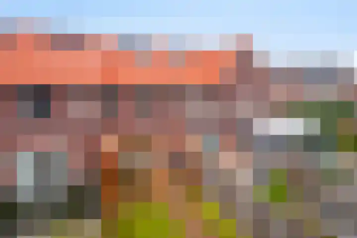 Kaarboom 10 Nunspeet thumbnail 37