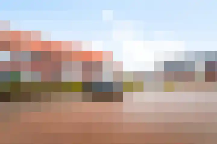 Kaarboom 10 Nunspeet thumbnail 38