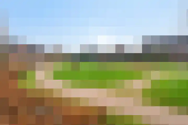 Kaarboom 10 Nunspeet thumbnail 39