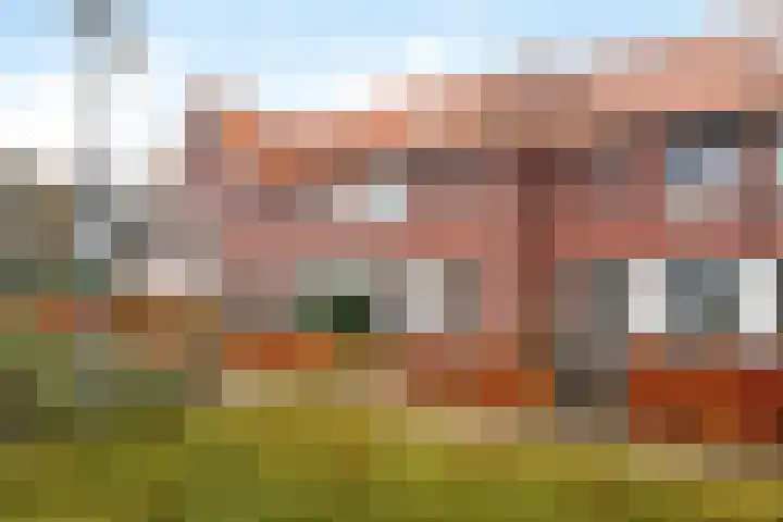 Kaarboom 10 Nunspeet thumbnail 5