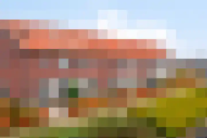 Kaarboom 10 Nunspeet thumbnail 6