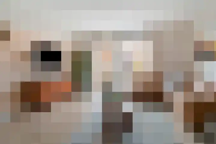 Kaarboom 10 Nunspeet thumbnail 8