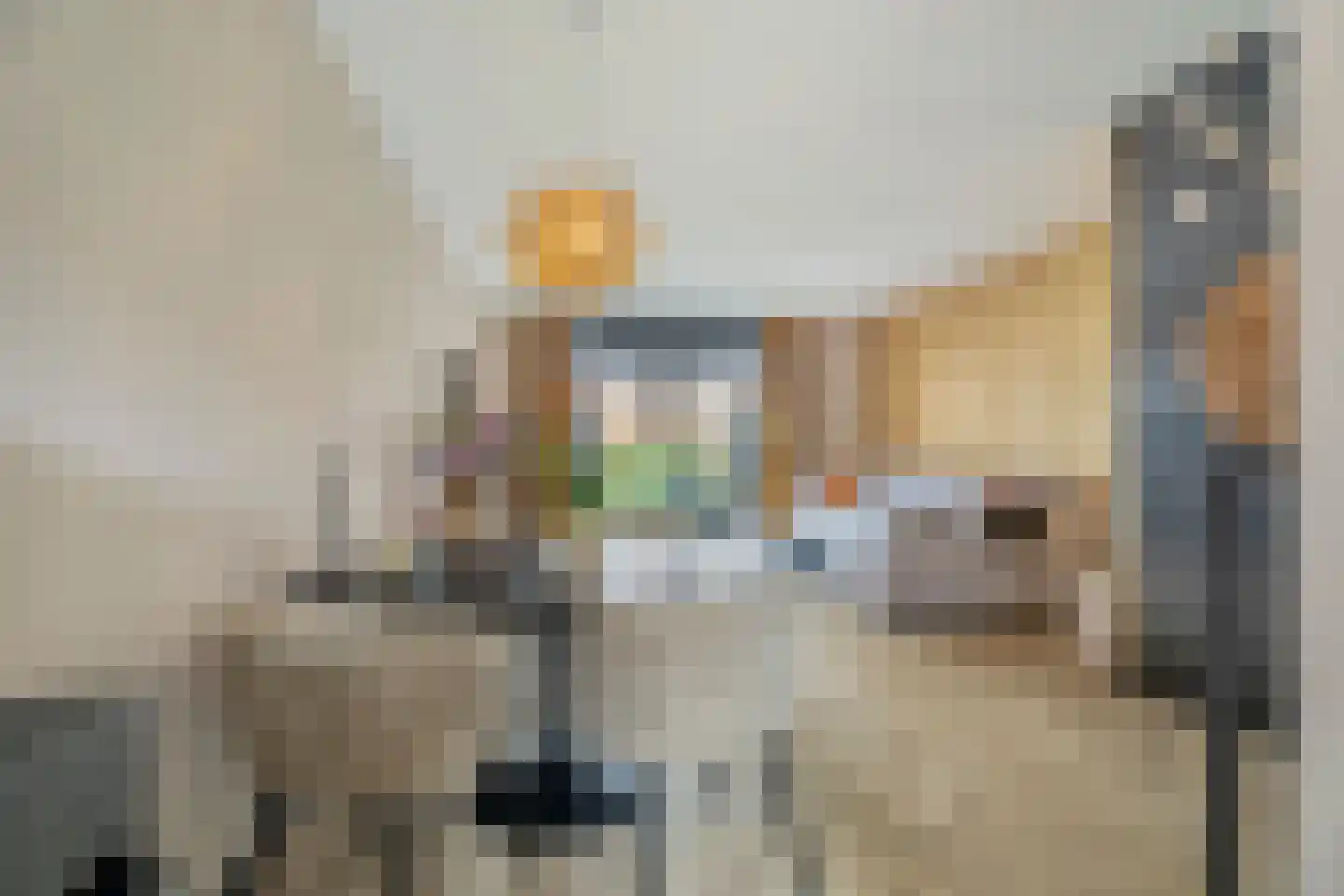 Kaarboom 19 Nunspeet thumbnail 16