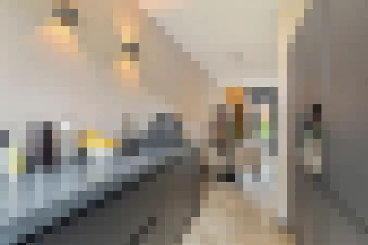 Kaarboom 19 Nunspeet thumbnail 19