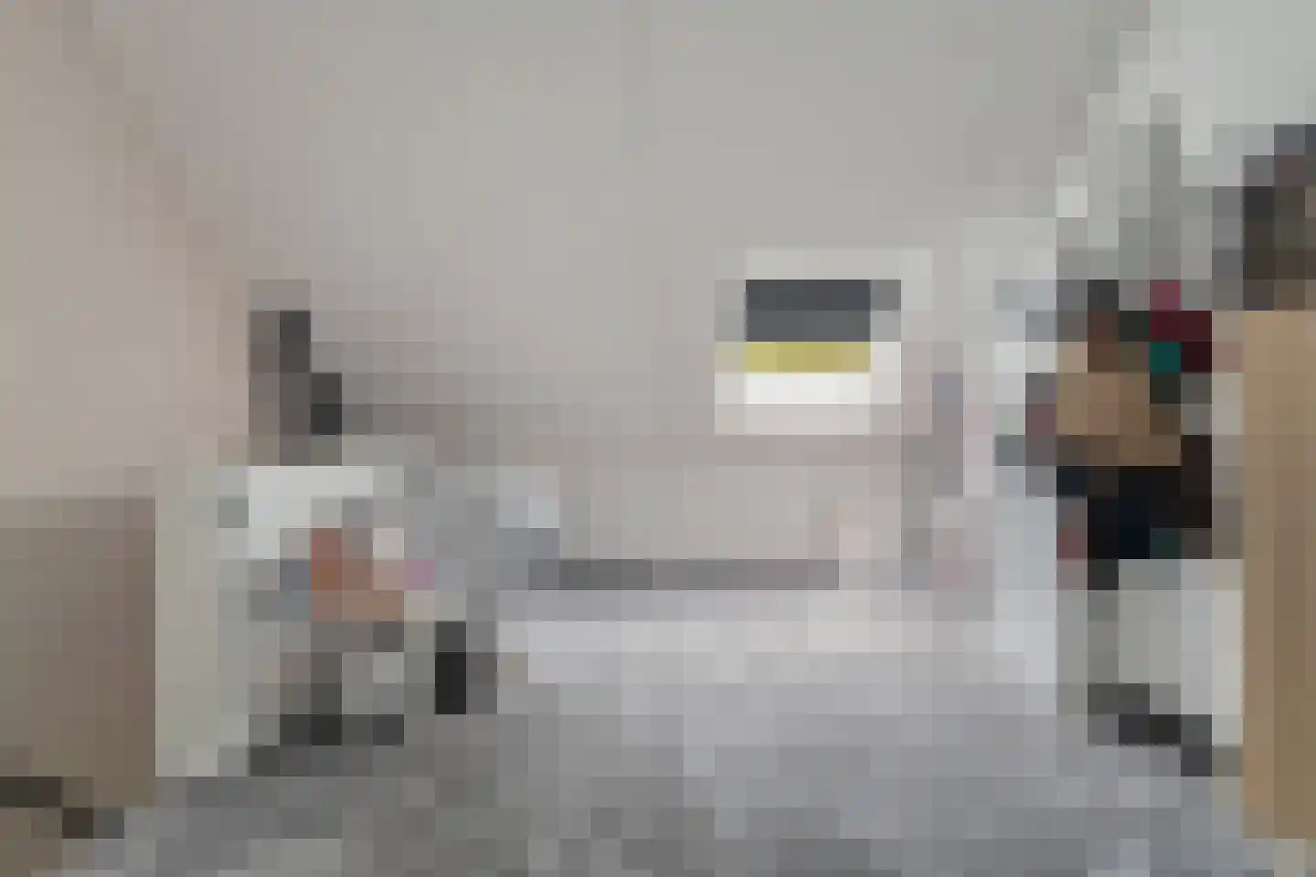 Kaarboom 19 Nunspeet thumbnail 29