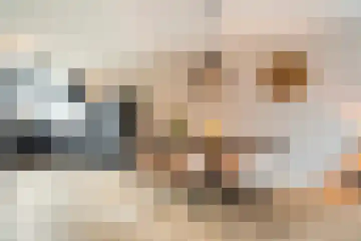 Kaarboom 21 Nunspeet thumbnail 11