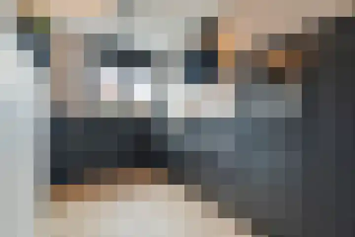 Kaarboom 21 Nunspeet thumbnail 15