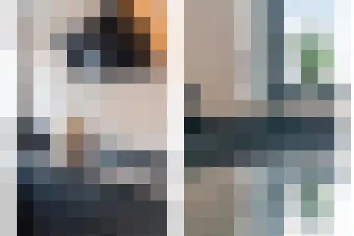 Kaarboom 21 Nunspeet thumbnail 18