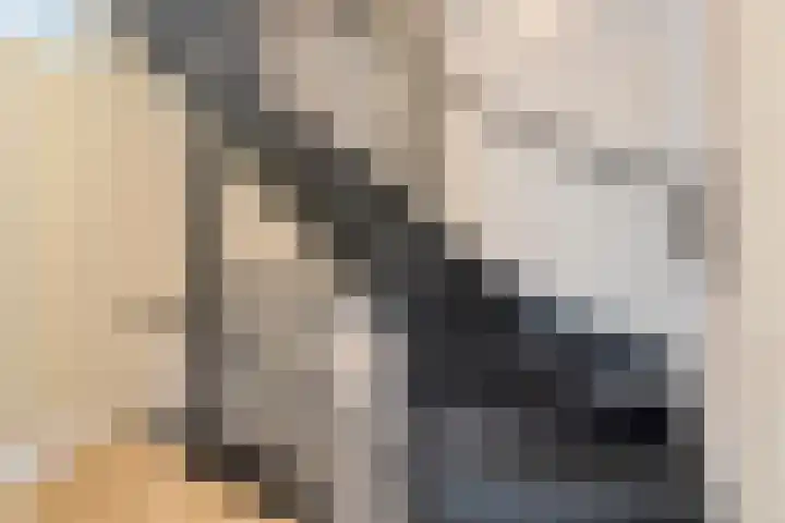 Kaarboom 21 Nunspeet thumbnail 19