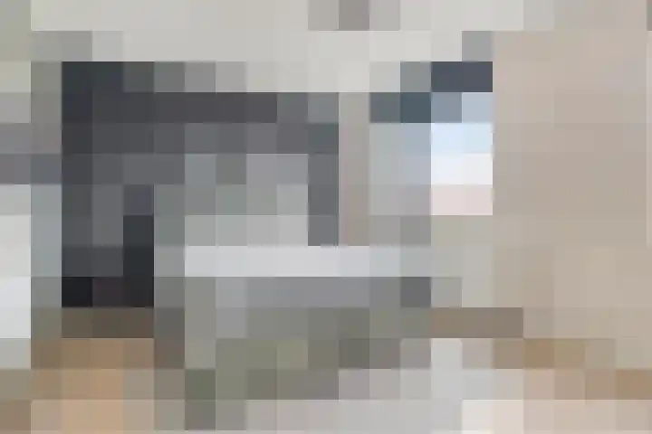Kaarboom 21 Nunspeet thumbnail 20